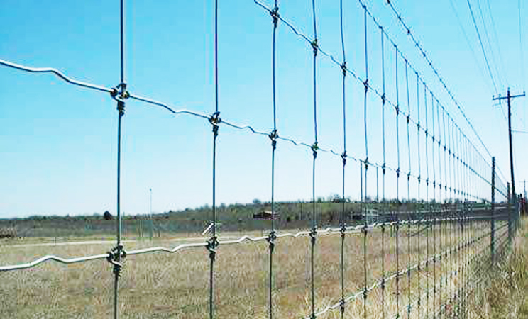 wire fence nails