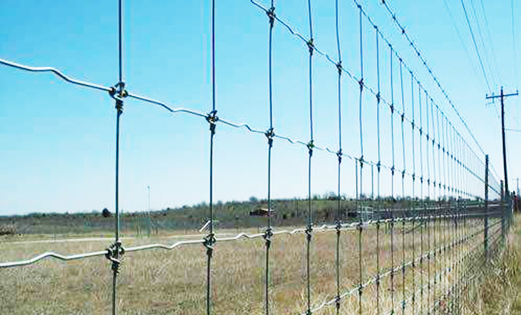 Grassland Fencing